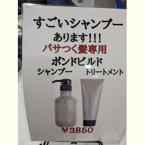 PXL_20261008_075241359