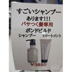 PXL_20261008_075241359
